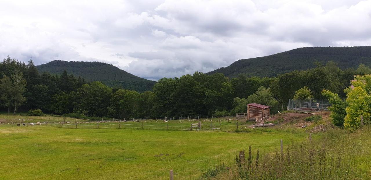 Domaine Des Cigogneaux Otel Labaroche Dış mekan fotoğraf