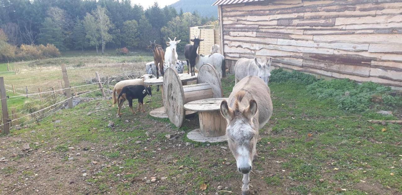 Domaine Des Cigogneaux Otel Labaroche Dış mekan fotoğraf